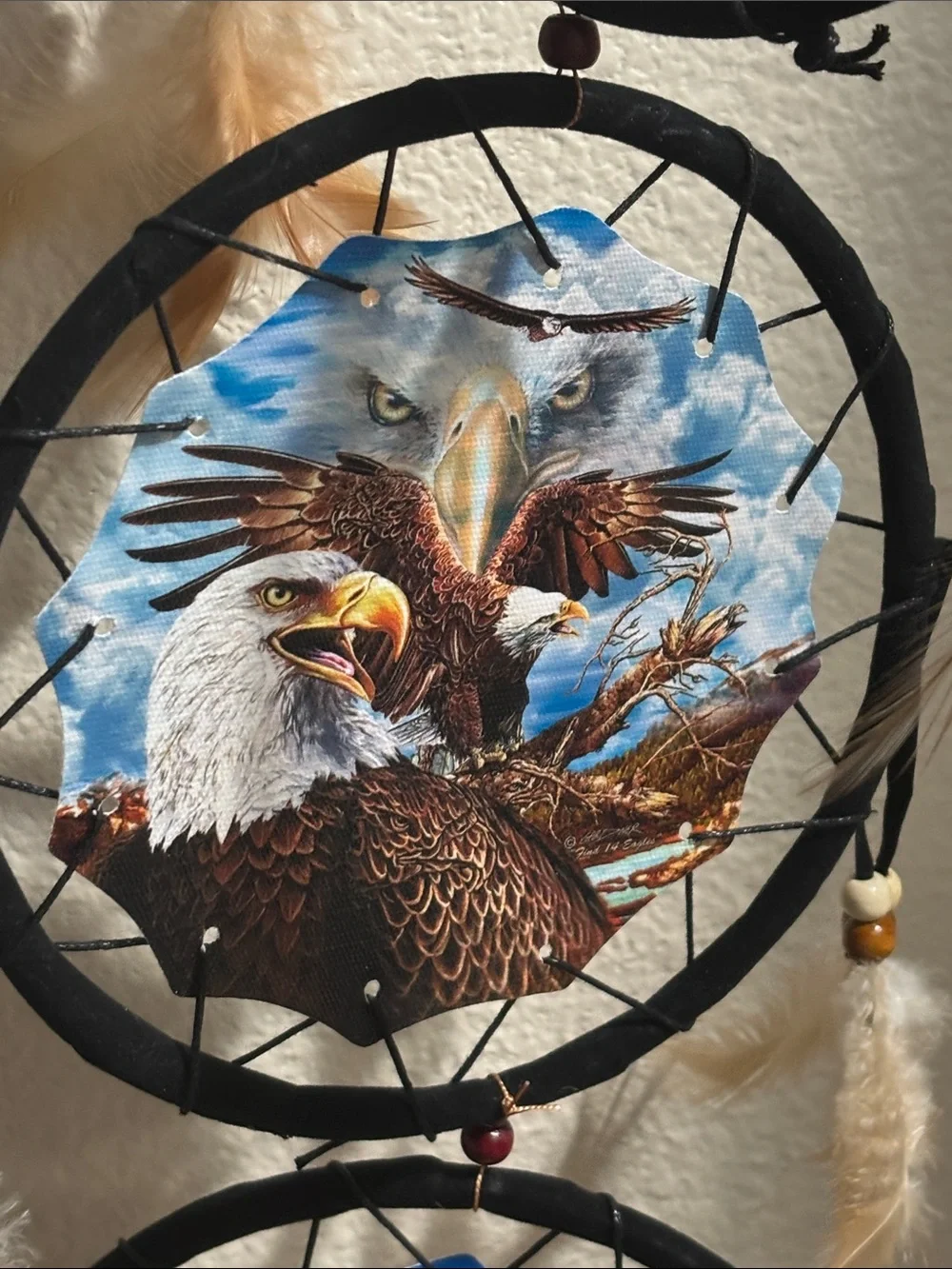 Black Triple Hoop Dreamcatcher Wall Decor with Feather Accents